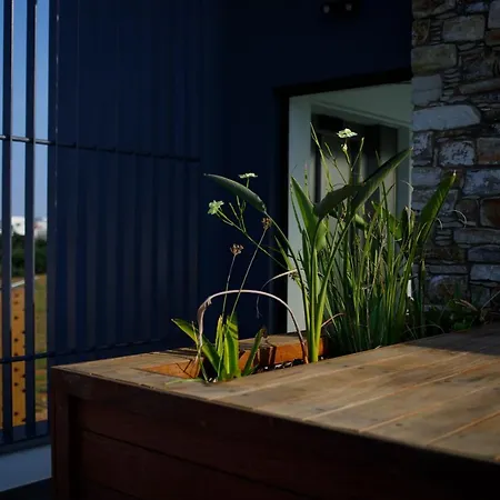 Sunrise Beachfront - 1 *