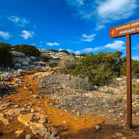 ヴィラ Sunrise Beachfront - 1 パラリムニ