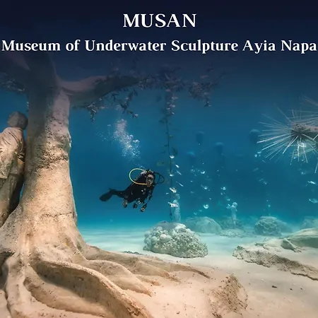 Sunrise Beachfront - 1 パラリムニ